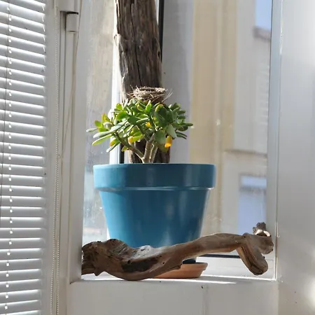 Les Nautiles Apartment